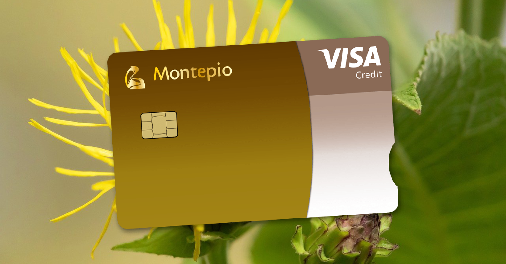 Como Solicitar o Cartão de Crédito Montepio Gold Guia Completo